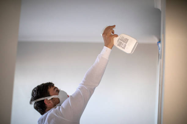 Best Mold Remediation for Schools in Scobey, MT
