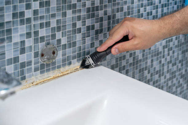 Best Basement Mold Remediation in Scobey, MT